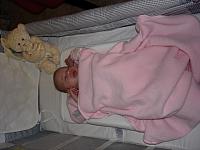 DSC00868.jpg