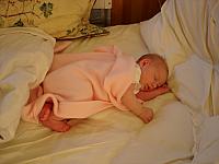 DSC00884.jpg