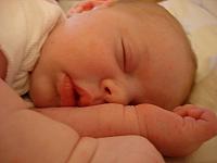 DSC00889.jpg