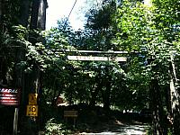 Midsommar 2009
