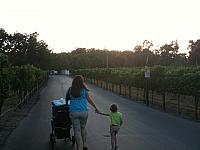 Wente Movie Night